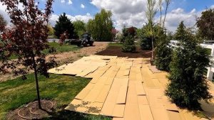 Can You Put Cardboard Under Landscape Fabric? Real Answer