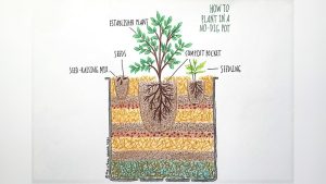 Can You Put Trash Bags Between Soil Layers for Gardening?