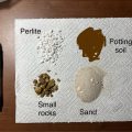 Can You Use Gardening Soil And Sand for Cactus Soil?