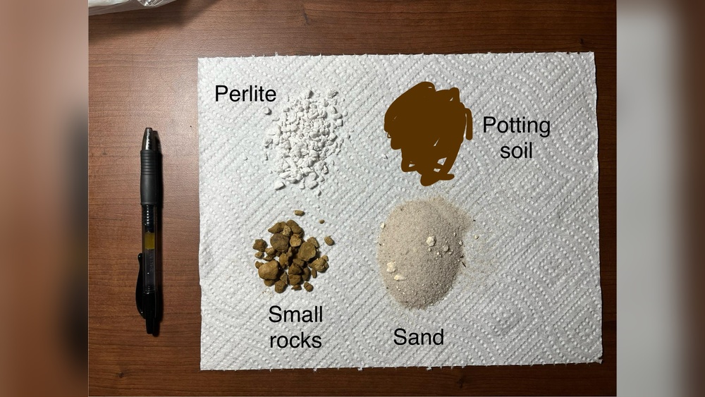 Can You Use Gardening Soil And Sand for Cactus Soil?