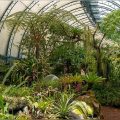 Cons of Botanical Garden Seed Banks You Should Know