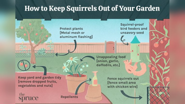 Do Skunks Eat Vegetable Gardens? How to Protect Yours