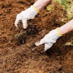 Does Gardening With Hard Water Make Soil Ph Basic?