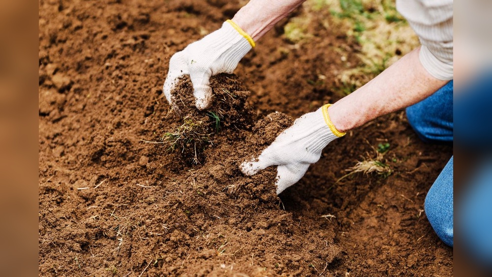 Does Gardening With Hard Water Make Soil Ph Basic?