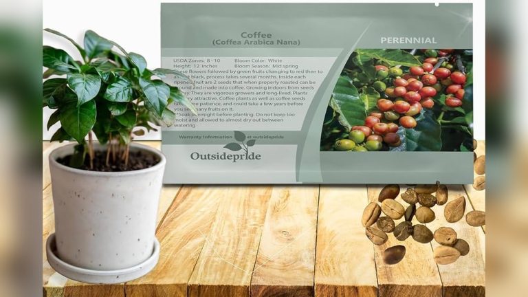 How Big Should Outdoor Plants Be After 2 Months? Find Out