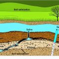 How Does Agriculture Lead to Salinization of Soil?