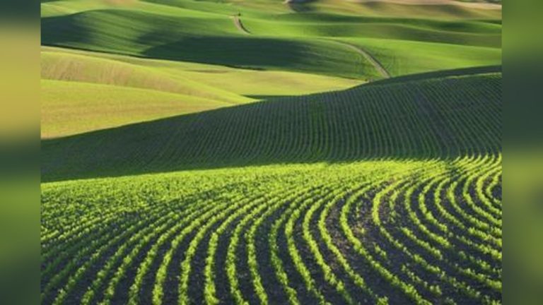 How Does Contour Plowing Reduce Soil Erosion? Explained Simply