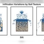 How Does Particle Size Relate to Soil Permeability?