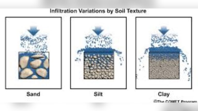 How Does Particle Size Relate to Soil Permeability?