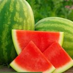 How Far Apart to Plant Watermelon Seeds for Best Yield