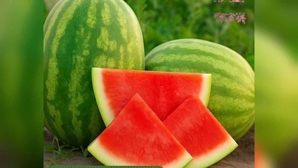 How Far Apart to Plant Watermelon Seeds for Best Yield