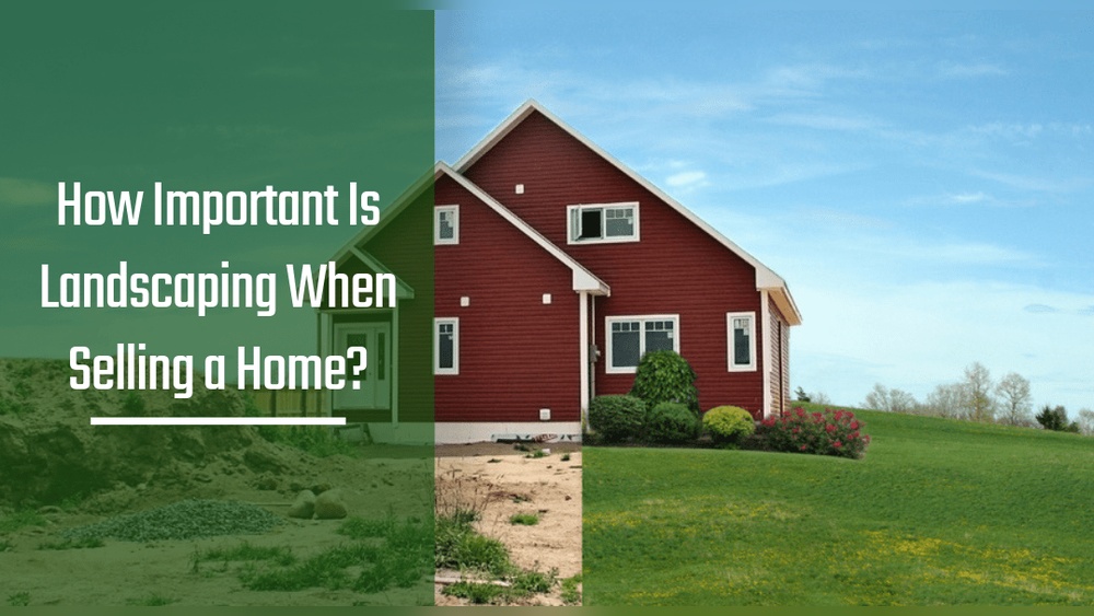 How Important Is Landscaping When Selling a Home? A Lot