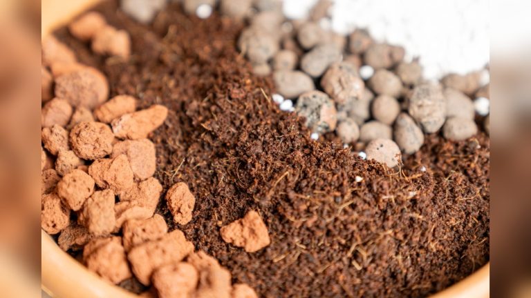 How is Bonsai Soil Different from Regular Compost