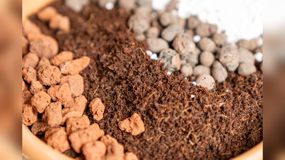 How is Bonsai Soil Different from Regular Compost