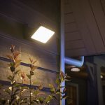 How Many Lumens Do You Need for Landscape Lighting?