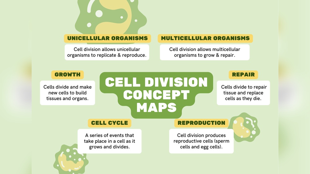 How Many Sperm Cells Are Used in Plant Fertilization? Answered
