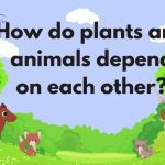 How Plants And Animals Depend on Each Other (With Worksheet)