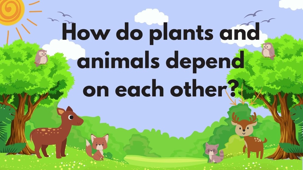 How Plants And Animals Depend on Each Other (With Worksheet)