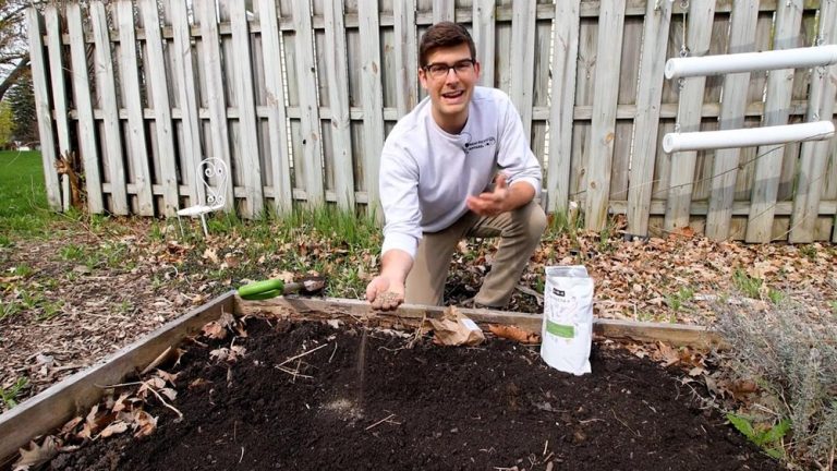 How to Add Nitrogen to Vegetable Gardens