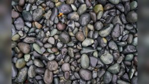 How To Clean Algae Off Landscape Rocks