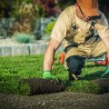 How to Find Quality Landscaping And Gardening Services Near You