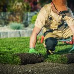 How to Find Quality Landscaping And Gardening Services Near You