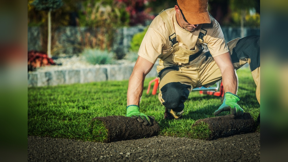 How to Find Quality Landscaping And Gardening Services Near You