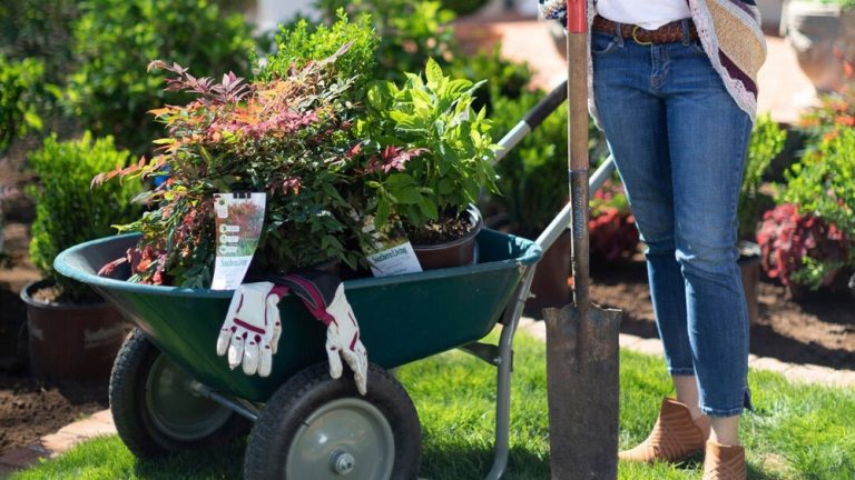 How to Get Soil Tests for Gardens in Alabama (Step-By-Step)