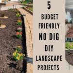 How to Landscape a Front Yard for Beginners on Any Budget