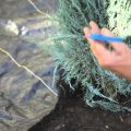 How to Lay Landscape Fabric Around Existing Plants