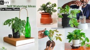 How To Make A Self-Watering System For Houseplants