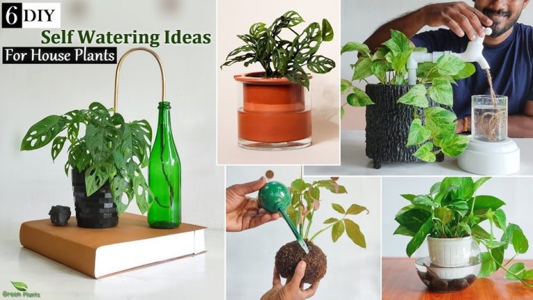 How to Make a Self-Watering System for Houseplants