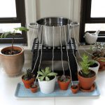 How to Make a Self-Watering System for Potted Plants at Home