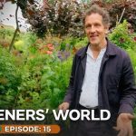 How to Make Garlic Spray for Plants (Gardeners' World Method)