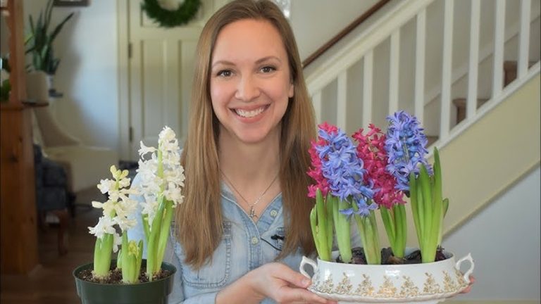 How to Plant a Hyacinth Bulb in Water for Indoor Blooms
