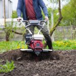 How to Plant Grass Seed Without Tilling Your Lawn