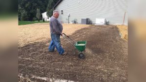How To Plant Grass Seeds For Lawn