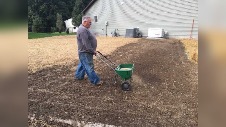 How to Plant Grass Seeds for Lawn