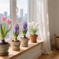 How to Plant Tulip Bulbs in Pots Indoors (Full Guide)
