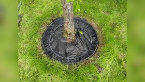 How to Put Landscape Fabric Around Trees the Right Way