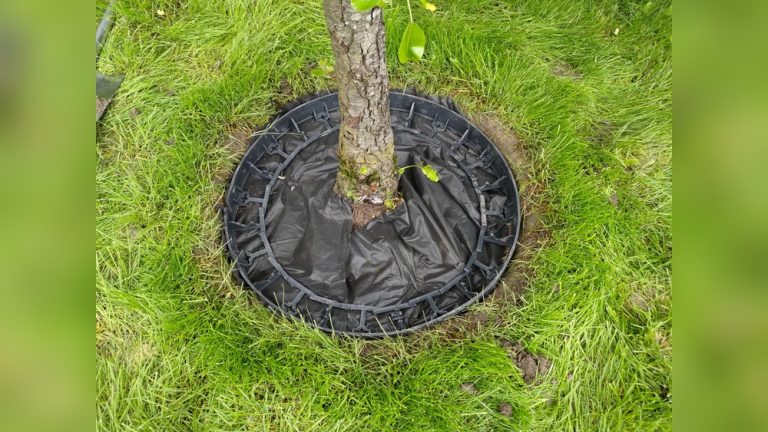 How to Put Landscape Fabric Around Trees the Right Way