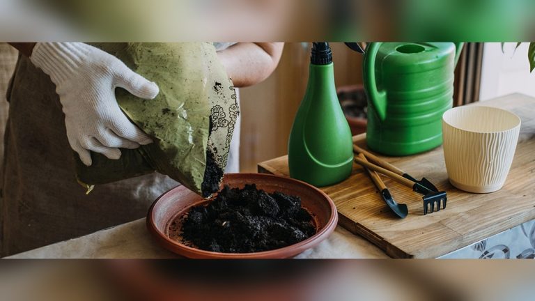 How to Sterilize Soil With Hydrogen Peroxide (Safe & Effective)