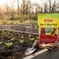How to Use Blood Meal in Vegetable Gardens (Right Way)