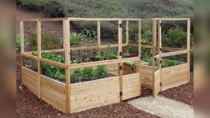 Is 12 12 12 Good for Vegetable Gardens
