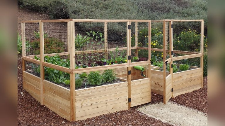 Is 12 12 12 Good for Vegetable Gardens