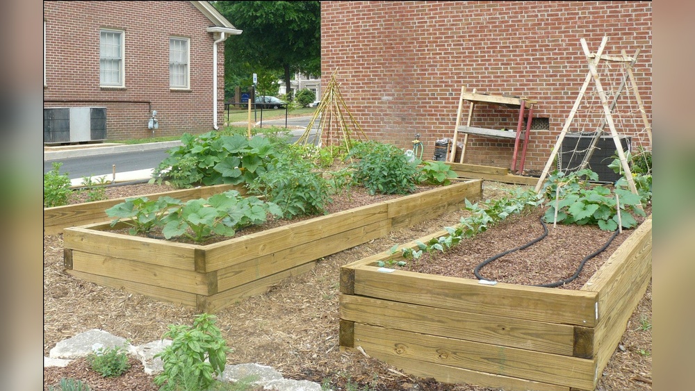 Is Ac2 Lumber Safe for Vegetable Gardens