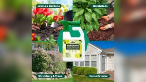 Is Cedarcide Safe for Vegetable Gardens