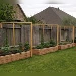 Is Douglas Fir Safe for Vegetable Gardens? What You Need
