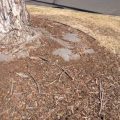 Is Landscape Fabric Toxic for Vegetable Gardens? Find Out