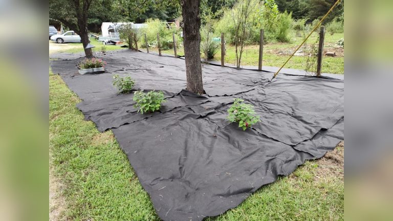 Is Landscaping Fabric Water Permeable